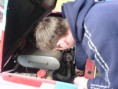 /album/opravy-atd-/dsc00187-jpg/